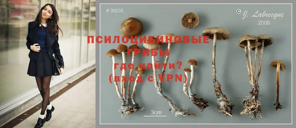 ALPHA PVP Верхний Тагил